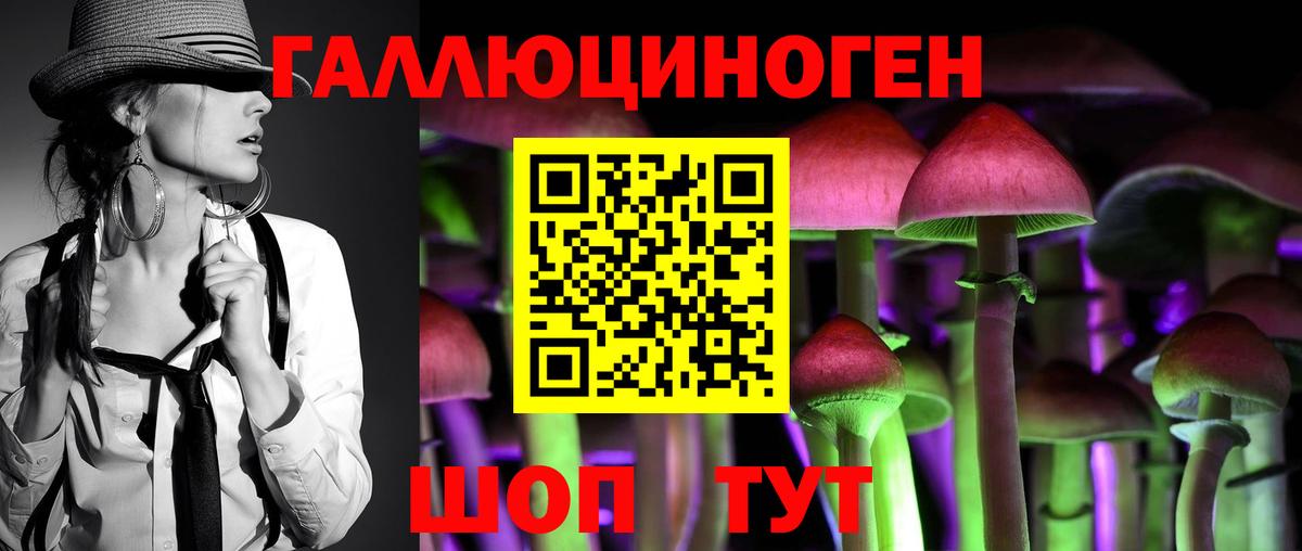 Черногорск  Галлюциногенные грибы мицелий  Вход с VPN  Псилоцибиновые грибы мицелий 